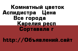 Комнатный цветок Аспидистра › Цена ­ 150 - Все города  »    . Карелия респ.,Сортавала г.